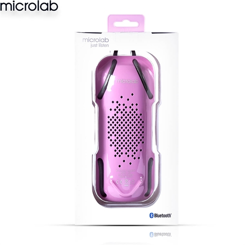 Loa Microlab D22 5